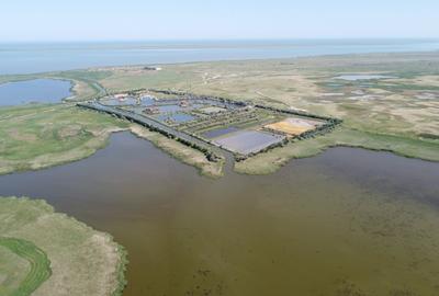 Teren Construcții intravilan de 347644 mp, în Istria - 13