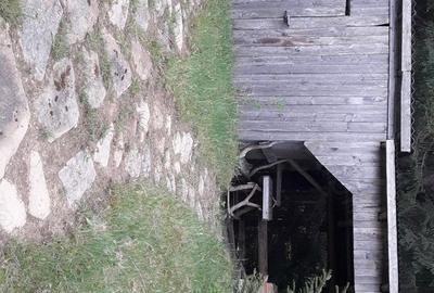 Casă cu 3 camere în Piatra - 9