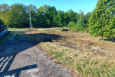 Spațiu comercial, în Făget - 3