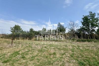 Teren de 700mp cu fundatie si proiect casa 80mp, in Jebel - 4