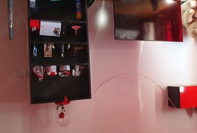 Vand apartament cu o camera Lugoj - 1