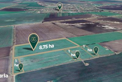 Teren de 117500 mp, în Central - 4