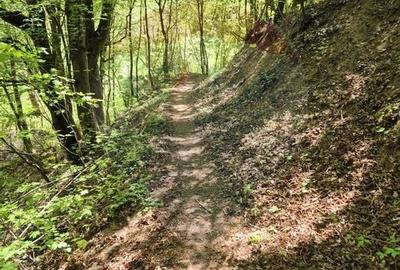 Teren intravilan 1,577mp Brasov / Schei/  constructii fara fundatie! - 9