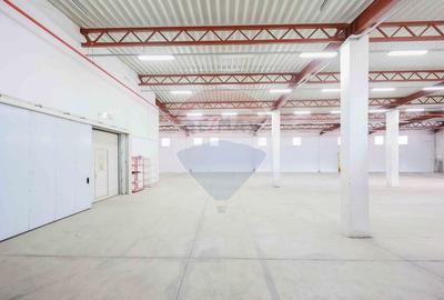 Spațiu industrial, de 1,407.1999511719 mp, în Vest - 19