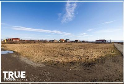 Spațiu comercial, în Apalina - 12