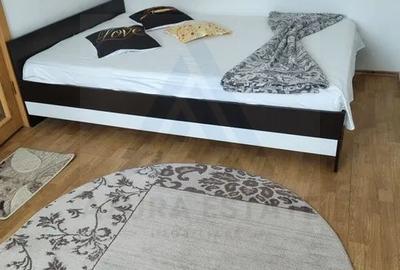 Apartament cu 2 camere decomandat, mobilat în Mihai Viteazul - 2