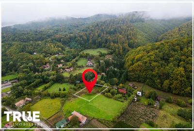 Teren intravilan Câmpul Cetății 2600m? - zonă de vacanță Teren intravilan Câmpul Cetății 2600m? - zonă de vacanță - 15