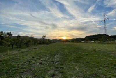 Teren de 6500 mp, în Băiculești - 2