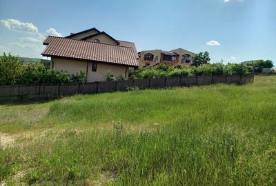 Teren de 450 mp, în Vișan - 4