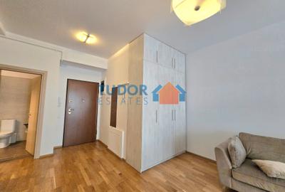 Apartament cu 2 camere semidecomandat în Herăstrău - 10