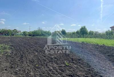 Casa individuala cu curte individuala si gradina - Zona Gai - 5