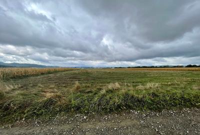 Teren industrial pretabil hala P.U.Z aprobat! Teren industrial pretabil hala P.U.Z aprobat! - 4