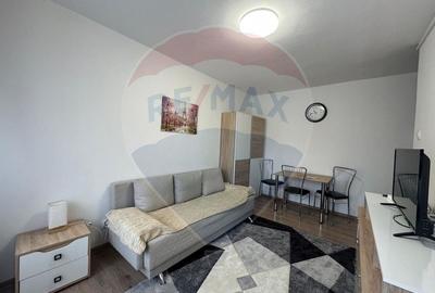 Apartament cu 1 camere semidecomandat în Micălaca - 1