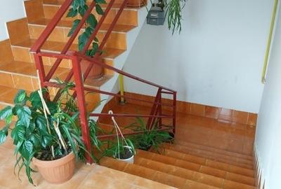 Garsonieră semidecomandată, mobilată în Bucium - 4