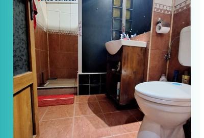 Apartament cu 3 camere decomandat în Bistrița Lac - 7