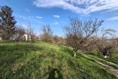 Teren Construcții intravilan de 5950 mp, în Câmpina - 13