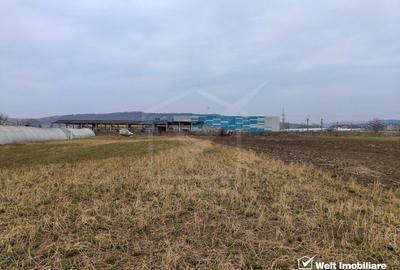Teren industrial 3500mp, Apahida