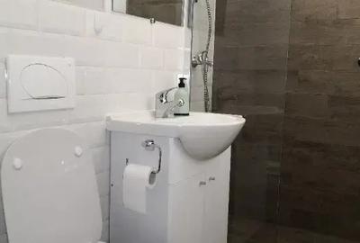 Ap modern 1 cam Micalaca Miorita ocupabil imediat - 7