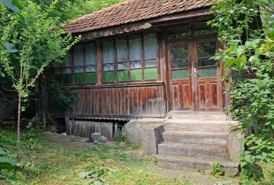 Spațiu comercial, în Bumbești-Jiu - 6