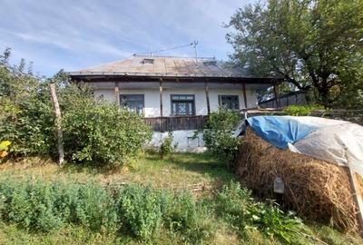 PROPRIETATE SUPERBA IN BIBIRESTI - 2