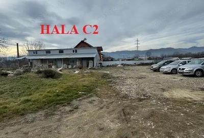 Hala 223 mp cu teren 600 mp, inchiriere/vanzare, Comanesti, jud. Bacau - 12