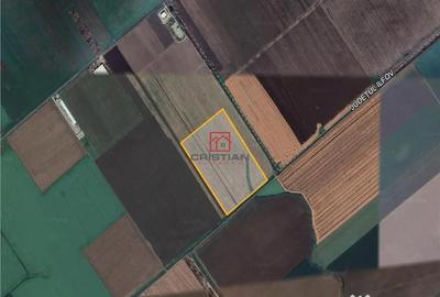 Teren de 190000 mp, în Afumați