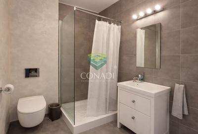 Apartament cu 3 camere semidecomandat în Domenii - 12