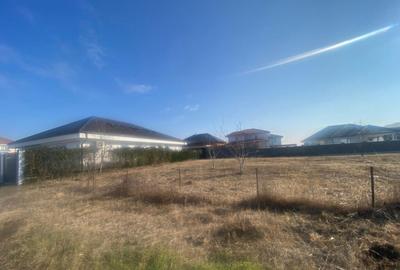 Teren 629 mp cu front stradal de 21 ml- Calea Buziasului Teren 629 mp cu front stradal de 21 ml- Calea Buziasului - 2