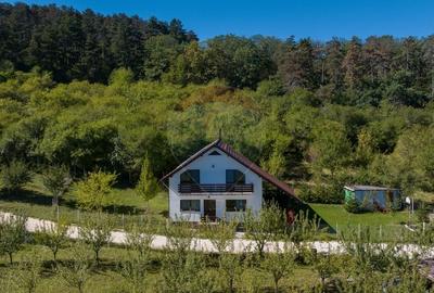 Comision 0%! Vila moderna, eficienta energetic, in mijlocul naturii - 1