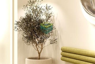 Piata Victoriei, imobil cu 5 camere de inchiriat, 214 mp construiti - 3