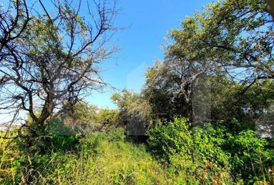 Teren de 3300 mp, în Central - 2