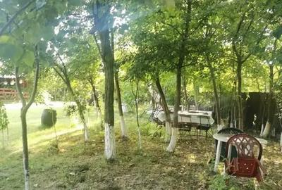 Teren in Contesti, Dambovita - 11