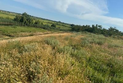 TEREN INTRAVILAN | DUNAVATU DE JOS | DESCHIDERE LA APA - 3