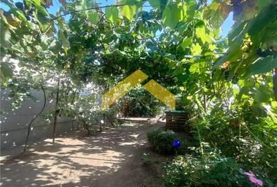 Casa de vanzare centrul orasului Curtici - 34