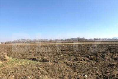 Teren intravilan 10000mp, Bod - 1