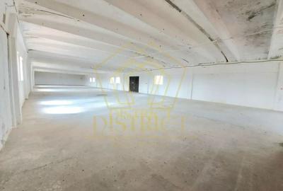 Hala de depozitare sau productie | Șagului | Steaua - 2