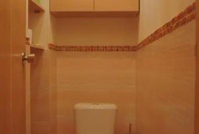 Apartament cu 2 camere decomandat în Theodor Pallady - 3