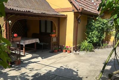 Vand cas in Sannicolau Mare - 4