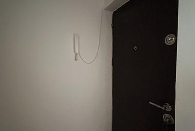 Apartament 2 camere, etaj 3, perfect pentru investit, zona Dambovita - 9