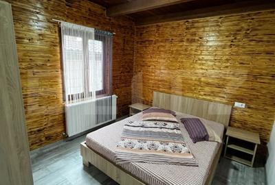 Cabana cu 7 dormitoare si 2 bai in Baile Figa - 7