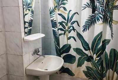 Apartament cu 2 camere în P-ța Mihai Viteazu - 6