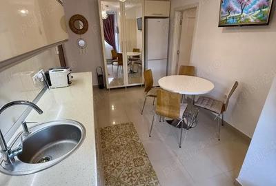 Apartament cu 2 camere semidecomandat în Govândari - 2