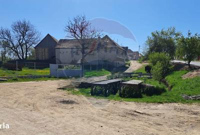 Teren de 980 mp, în Părău - 5