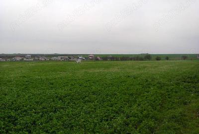Teren de 7500 mp, în Central - 2