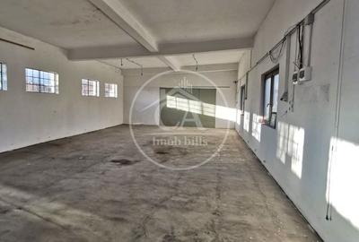 Spațiu comercial, de 300 mp, în Tinca - 10