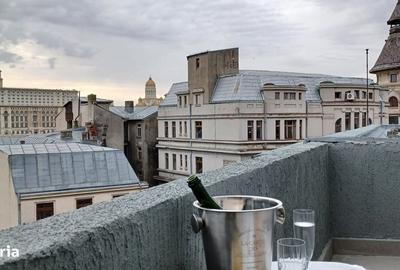 De vanzare Apartament tip Penthouse 4 camere, cismigiu, ultracentral - 11