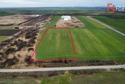 Teren de 25000 mp, în Est - 9