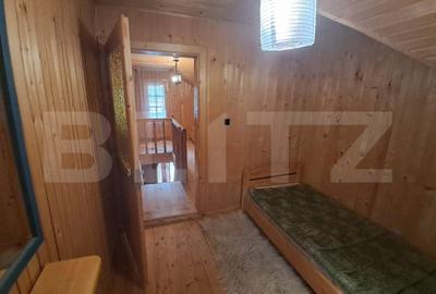 Cabana in colibita - 3