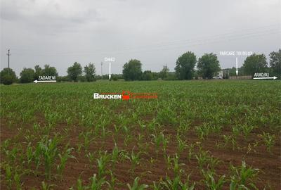 Teren de 43500 mp, în Sud - 8