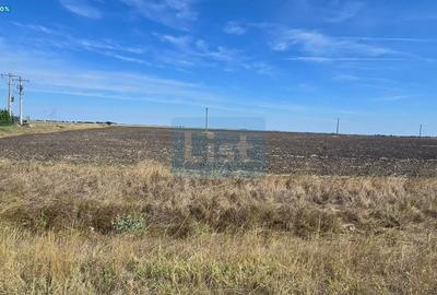 Teren agricol extravilan de 20000 mp, în Becicherecu Mic - 1